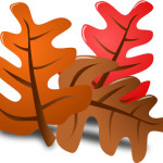 oak leaf graphic copy